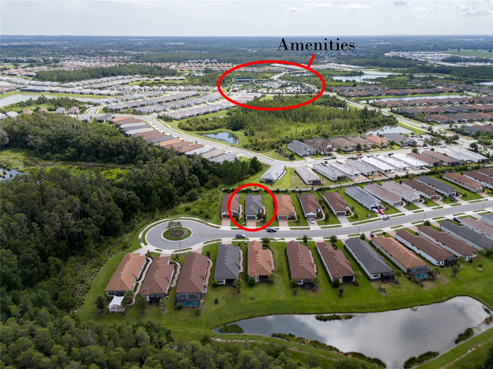 4344 Cairoli, Wesley Chapel, FL 33543