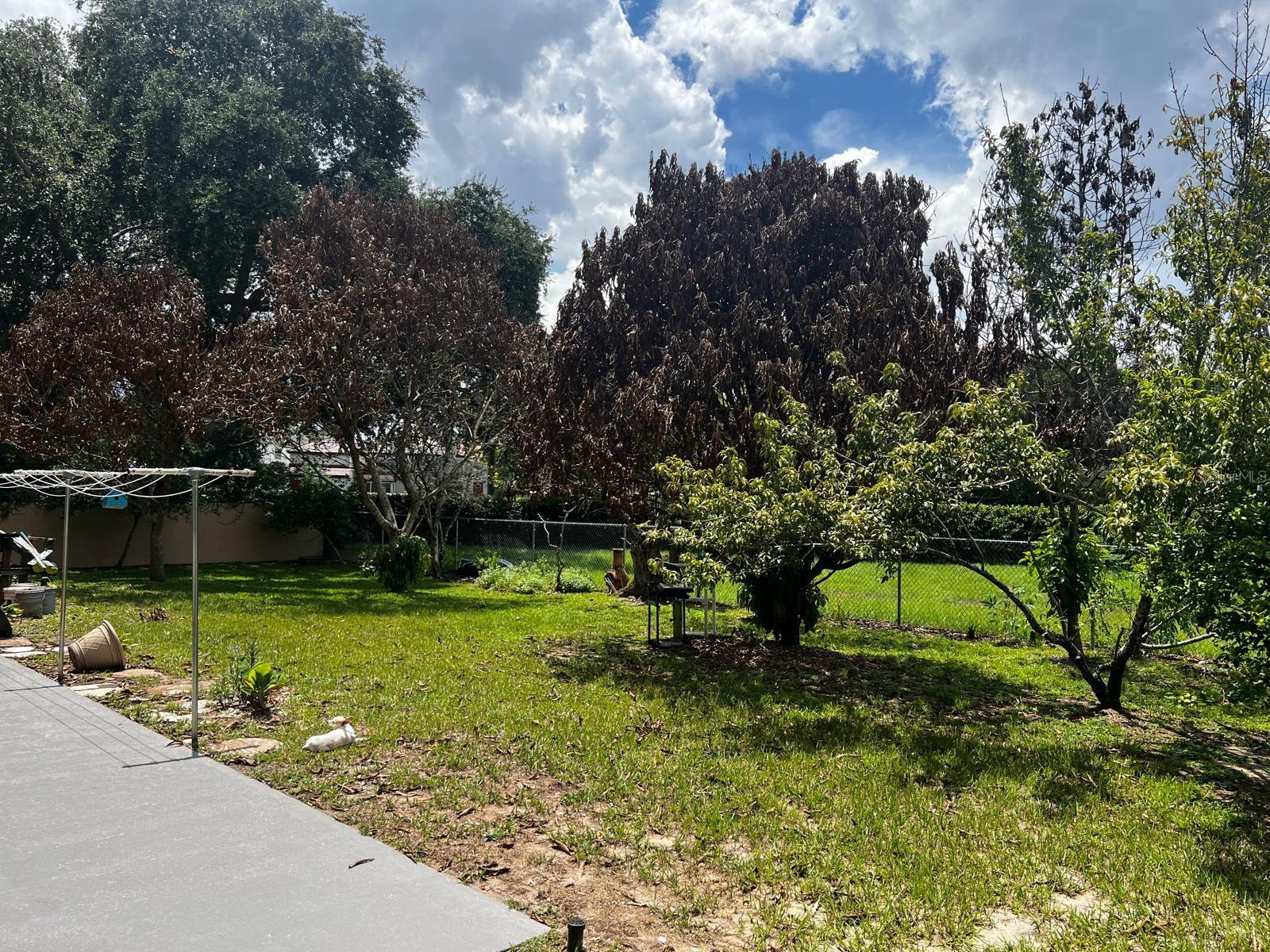 7804 Snowberry, Orlando, FL 32819