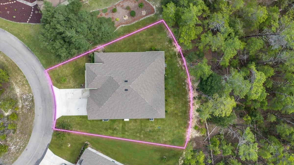 7 Bellis, Homosassa, FL 34446