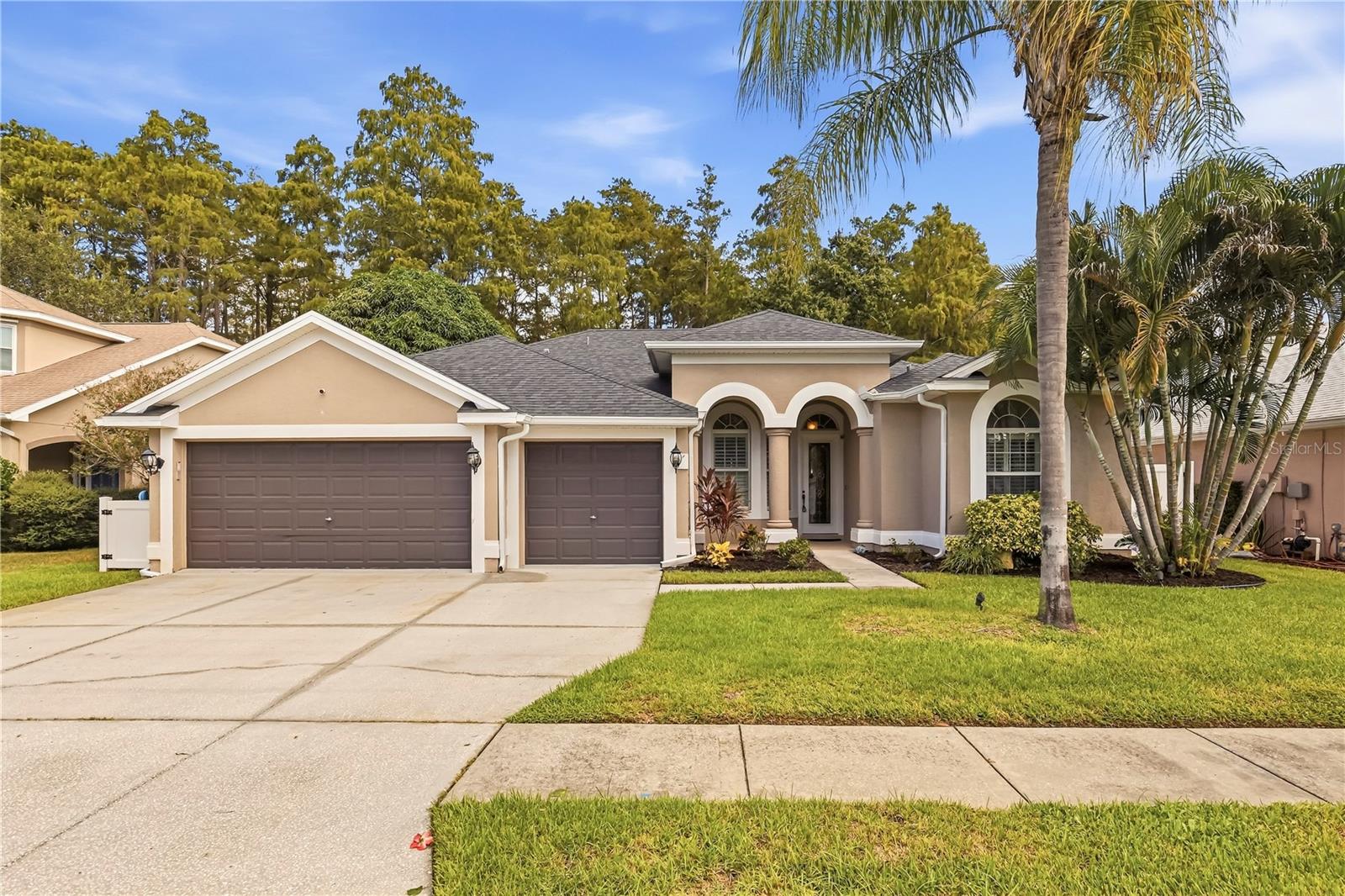 439 Denise, Tarpon Springs, FL 34689