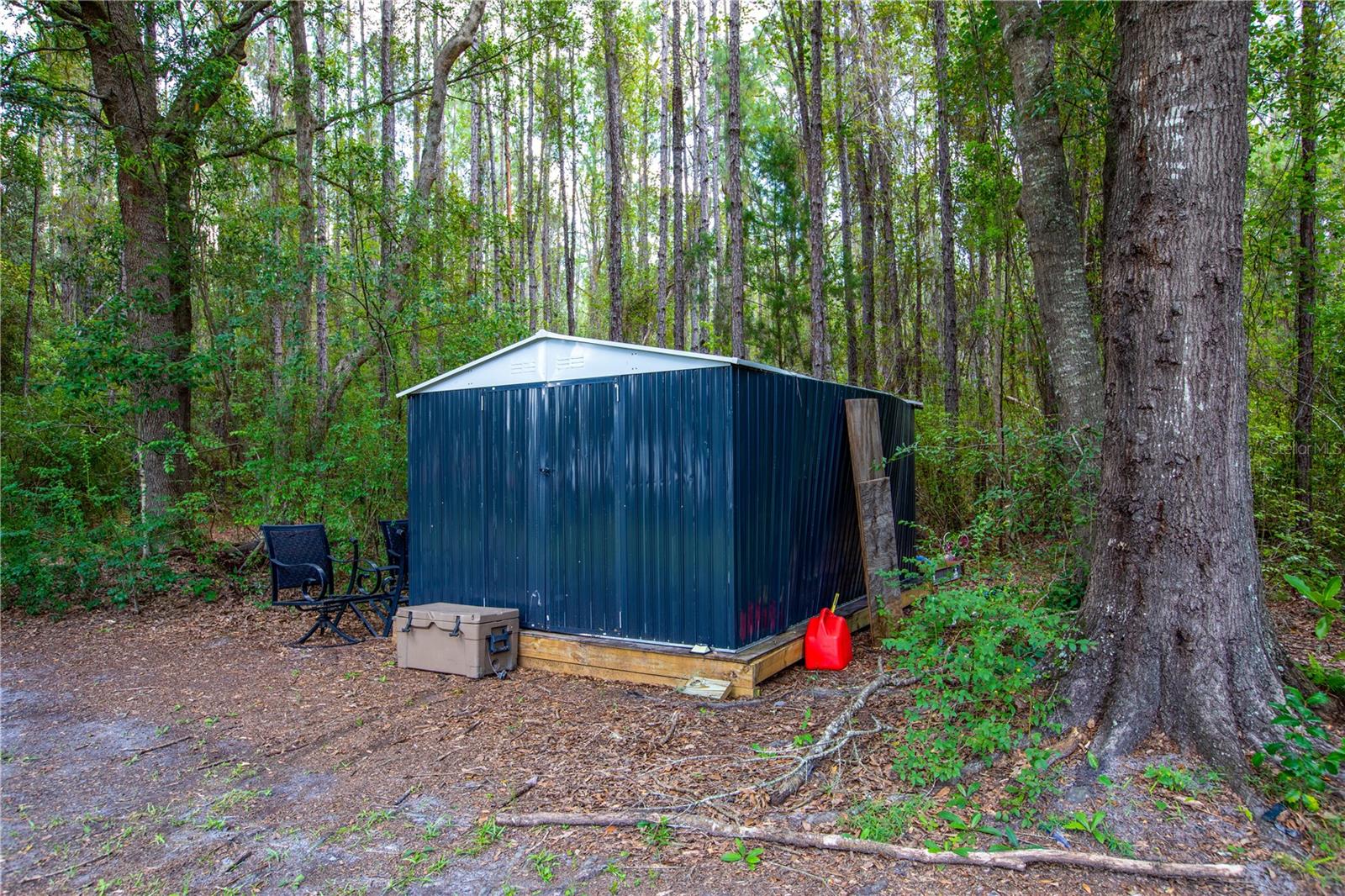 13328 230th, Raiford, FL 32083