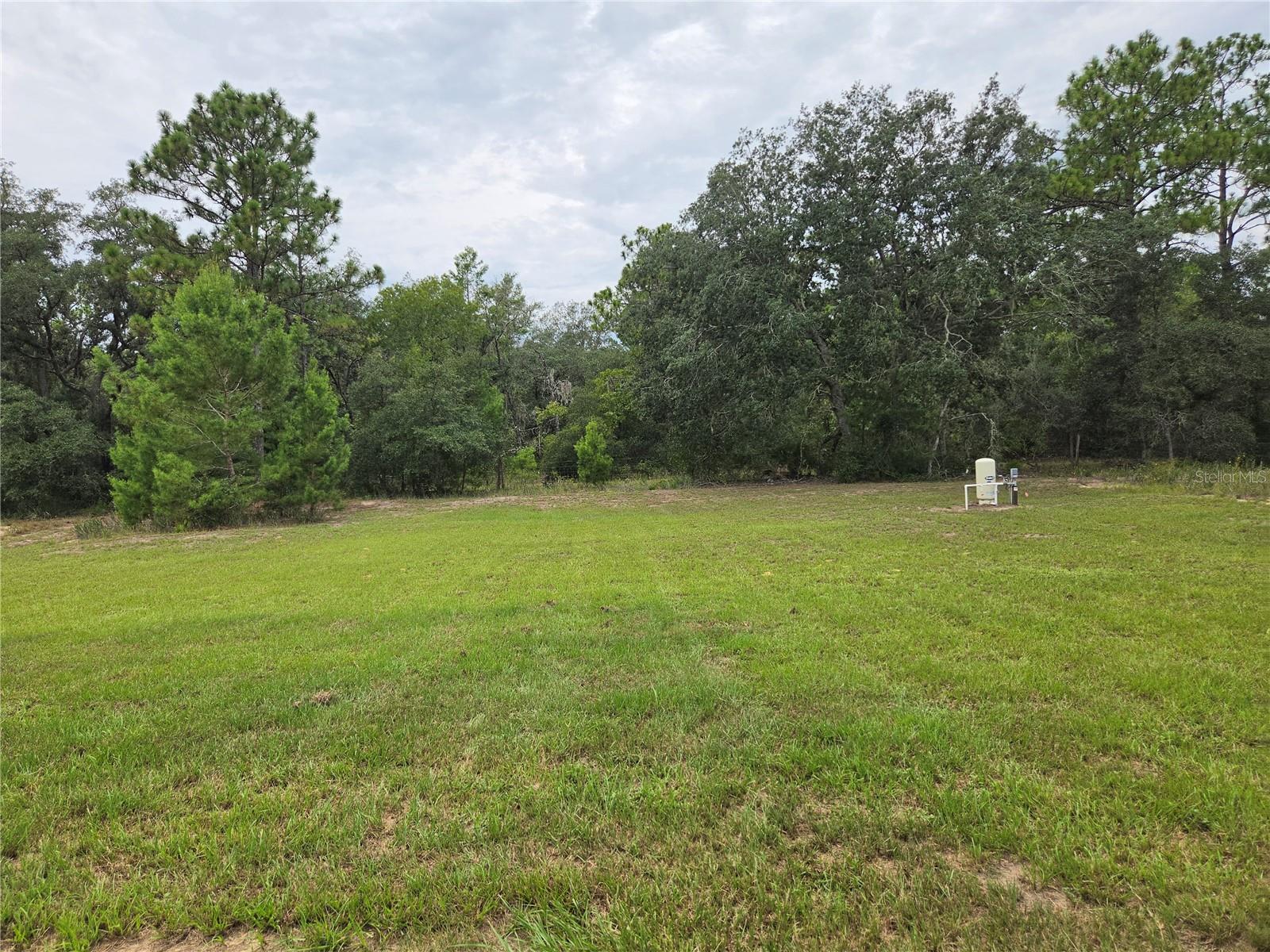 353 Fisher, Ocklawaha, FL 32179