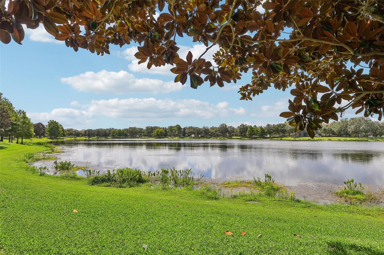 8168 Boat Hook Unit 303, Windermere, FL 34786