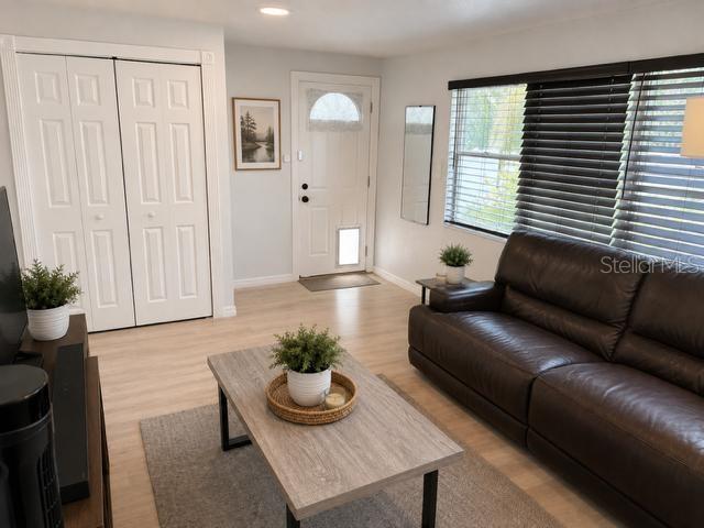 11710 North, Tampa, FL 33617