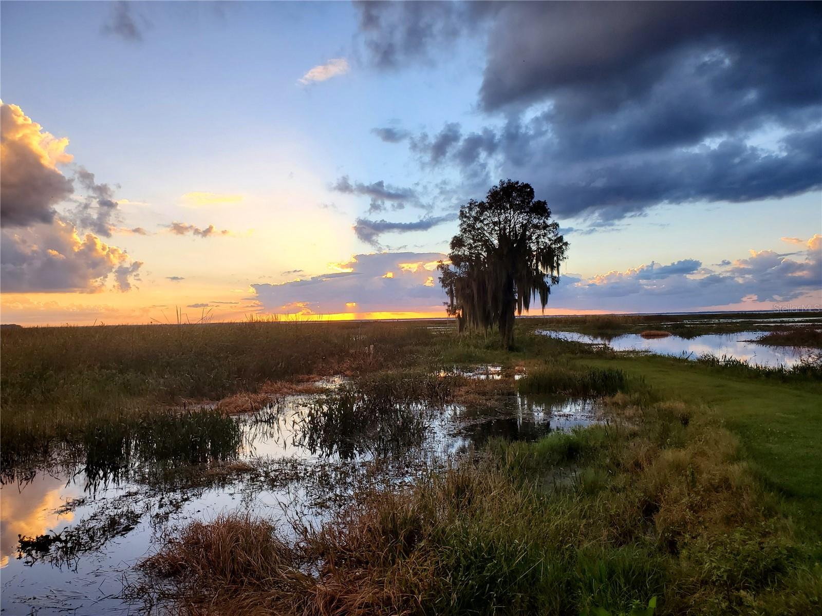 1303 Club, Lorida, FL 33857