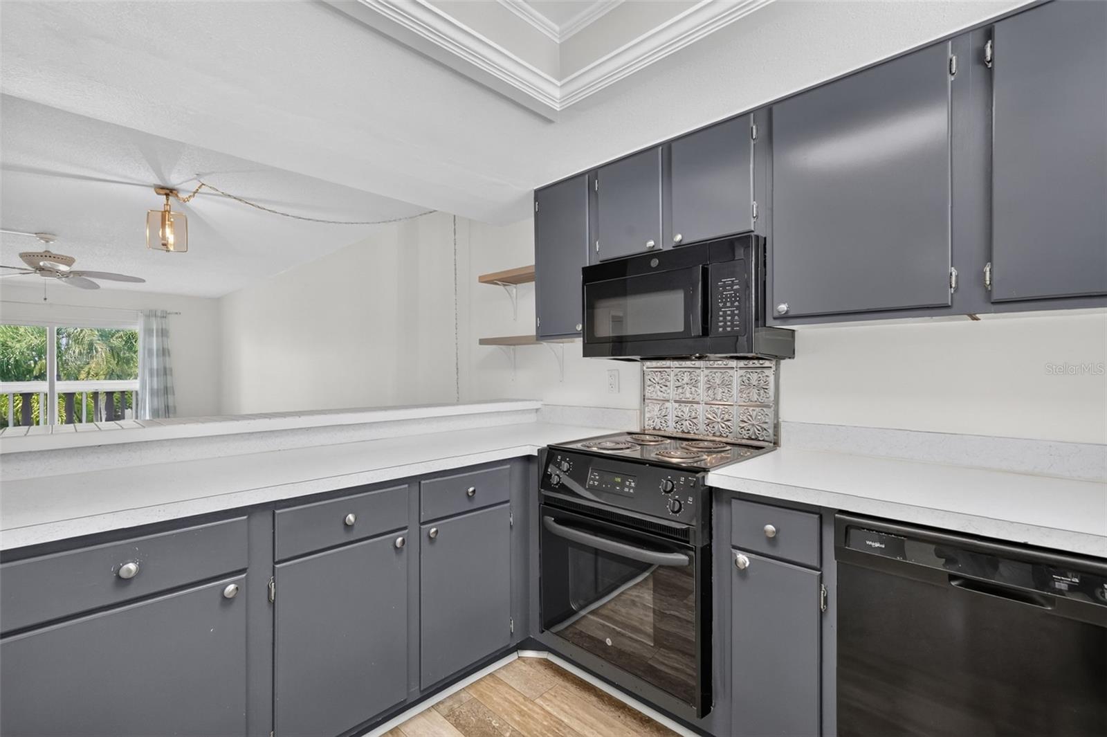 101 Grandview Unit 203, Mount Dora, FL 32757