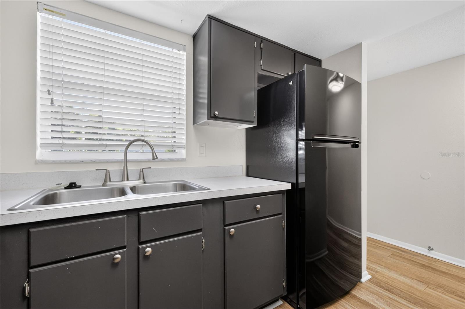 101 Grandview Unit 203, Mount Dora, FL 32757