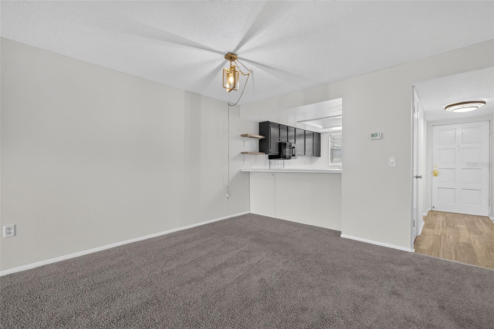 101 Grandview Unit 203, Mount Dora, FL 32757