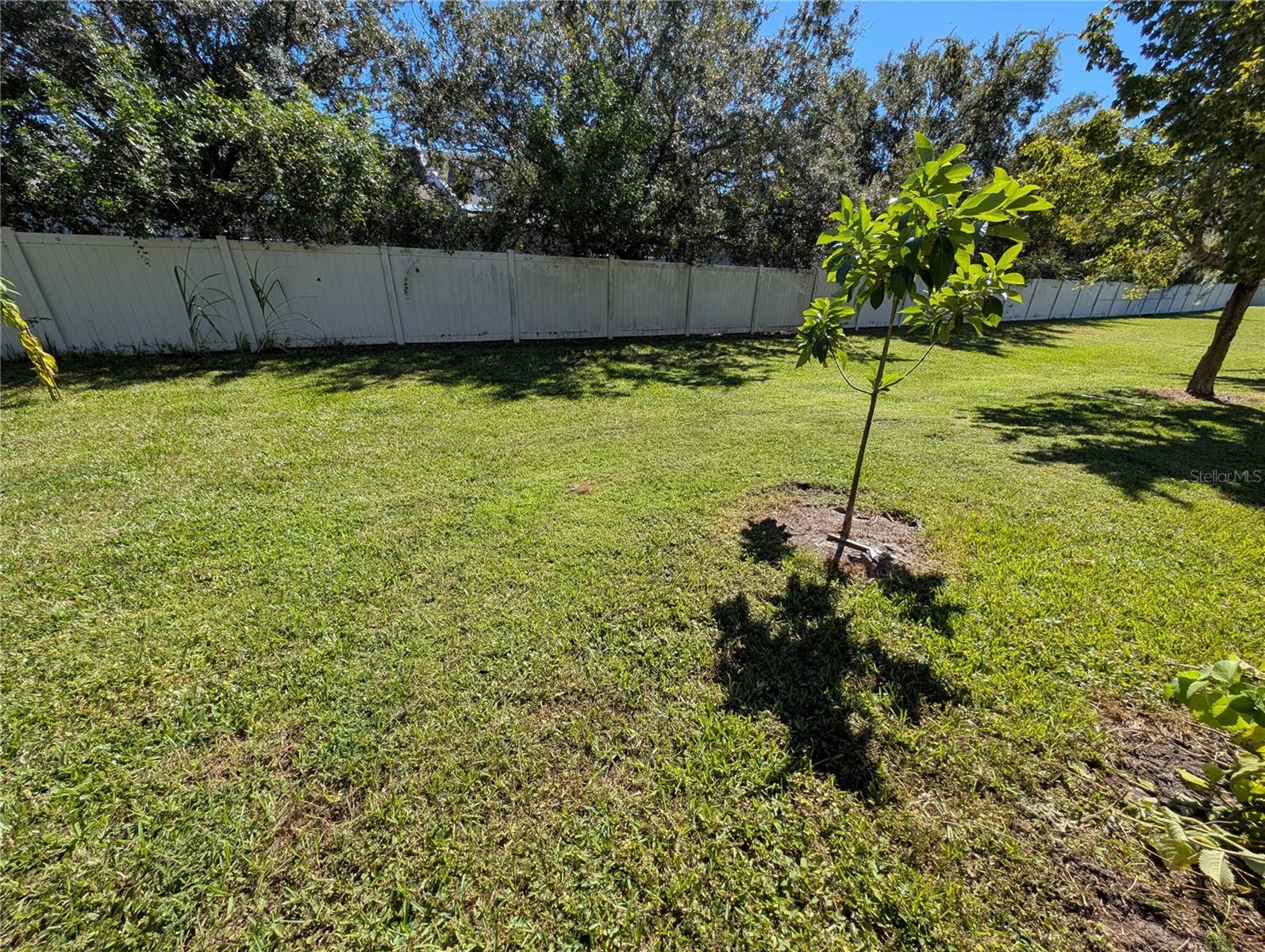 2203 Chatham Place, Orlando, FL 32824
