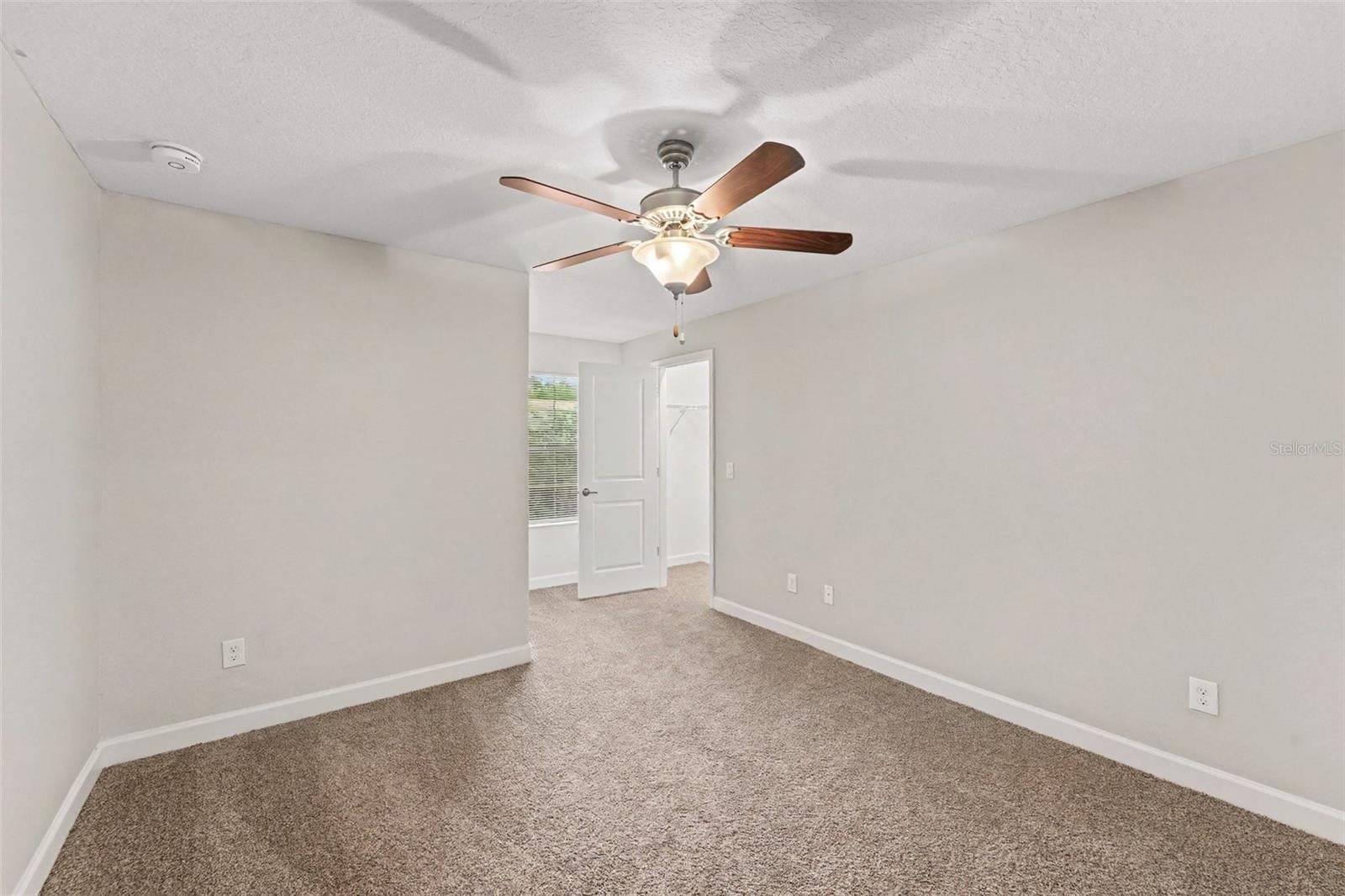 17335 Old Tobacco, Lutz, FL 33558