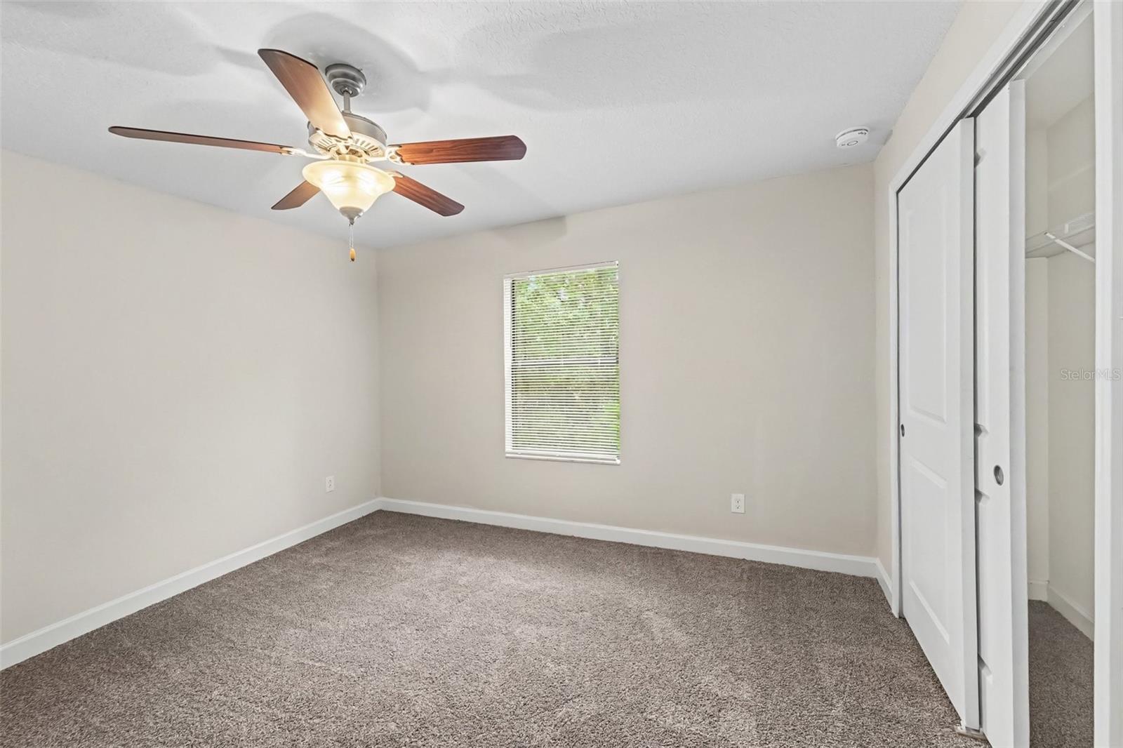 17335 Old Tobacco, Lutz, FL 33558