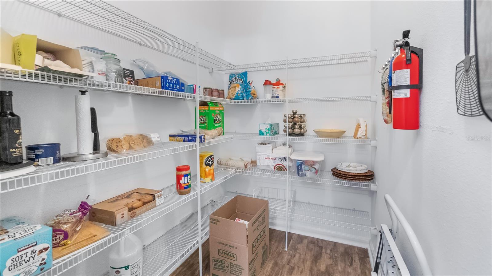 15409 Ivory Gull, Mascotte, FL 34753