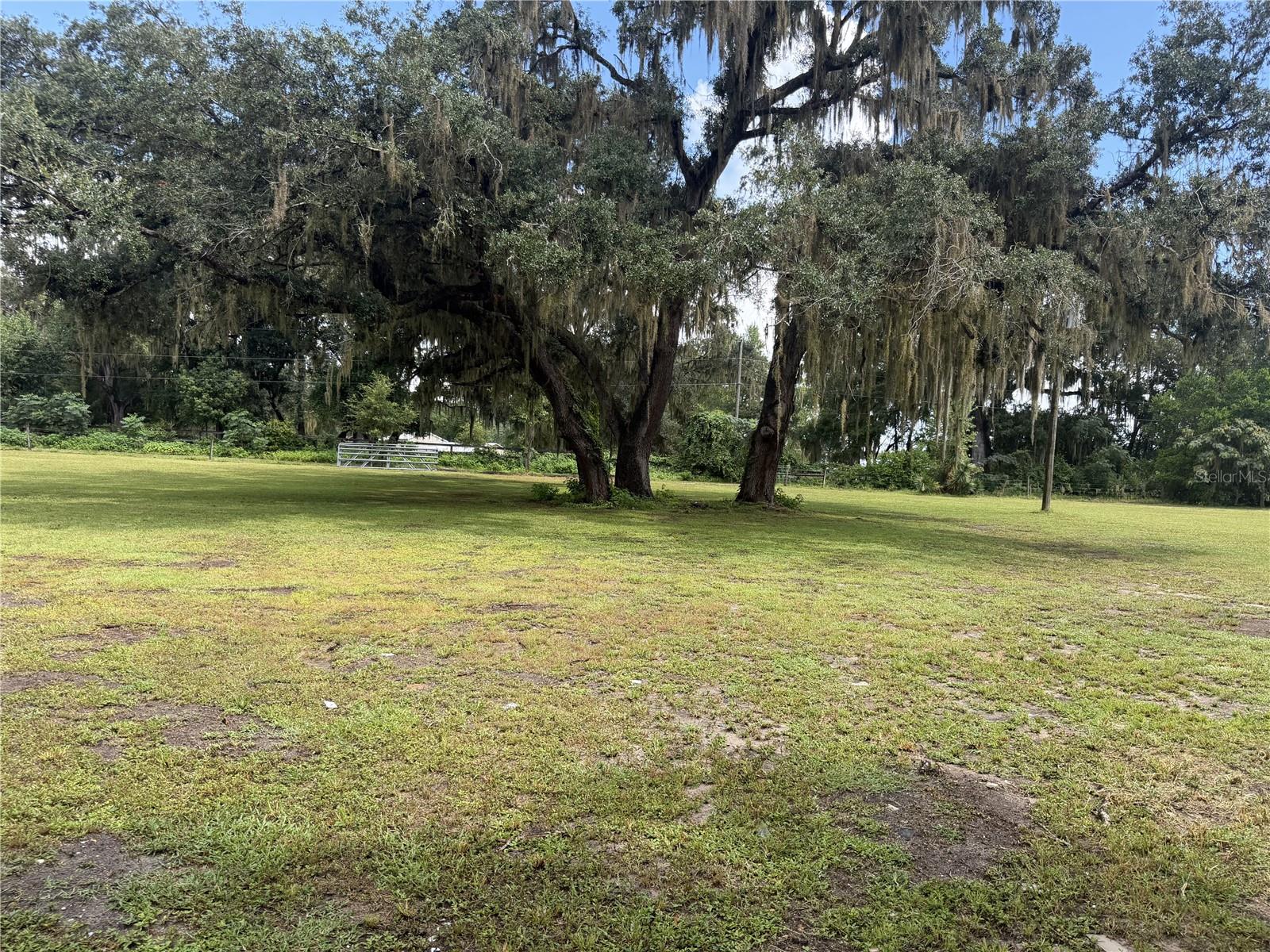 26348 Crooked Tree, Brooksville, FL 34602