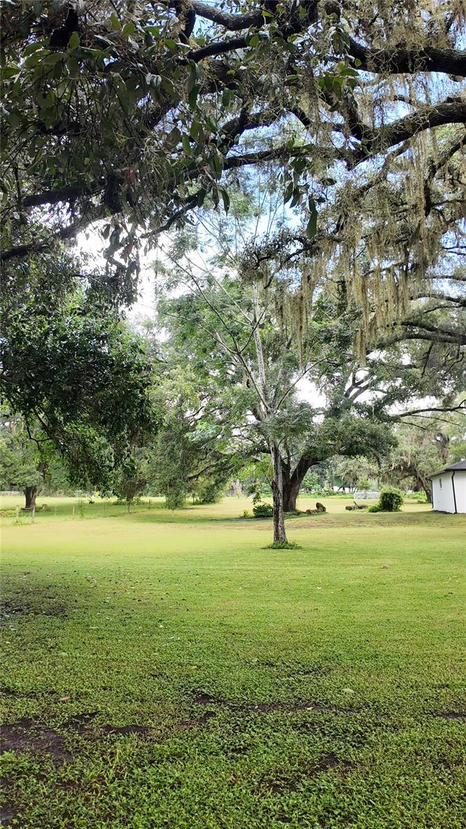 26348 Crooked Tree, Brooksville, FL 34602