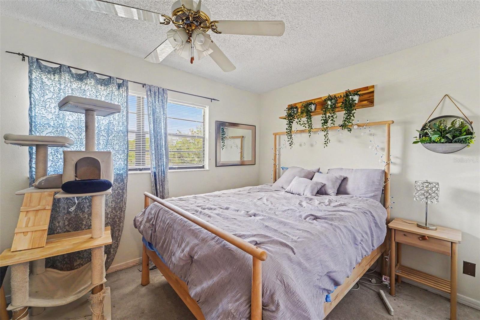 1702 Seascape Unit 203, Tarpon Springs, FL 34689