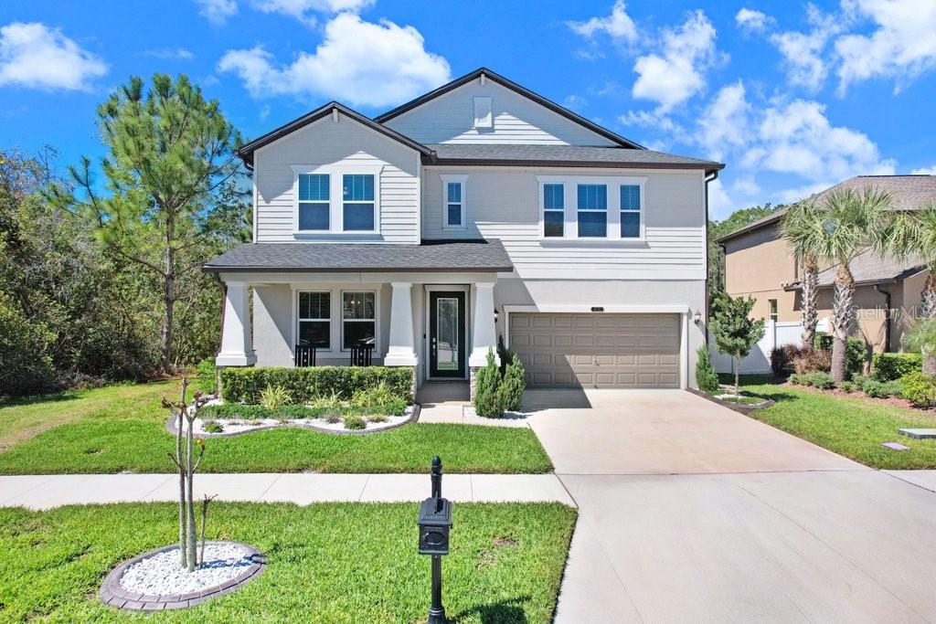 8721 Savory Walk, Land O Lakes, FL 34637