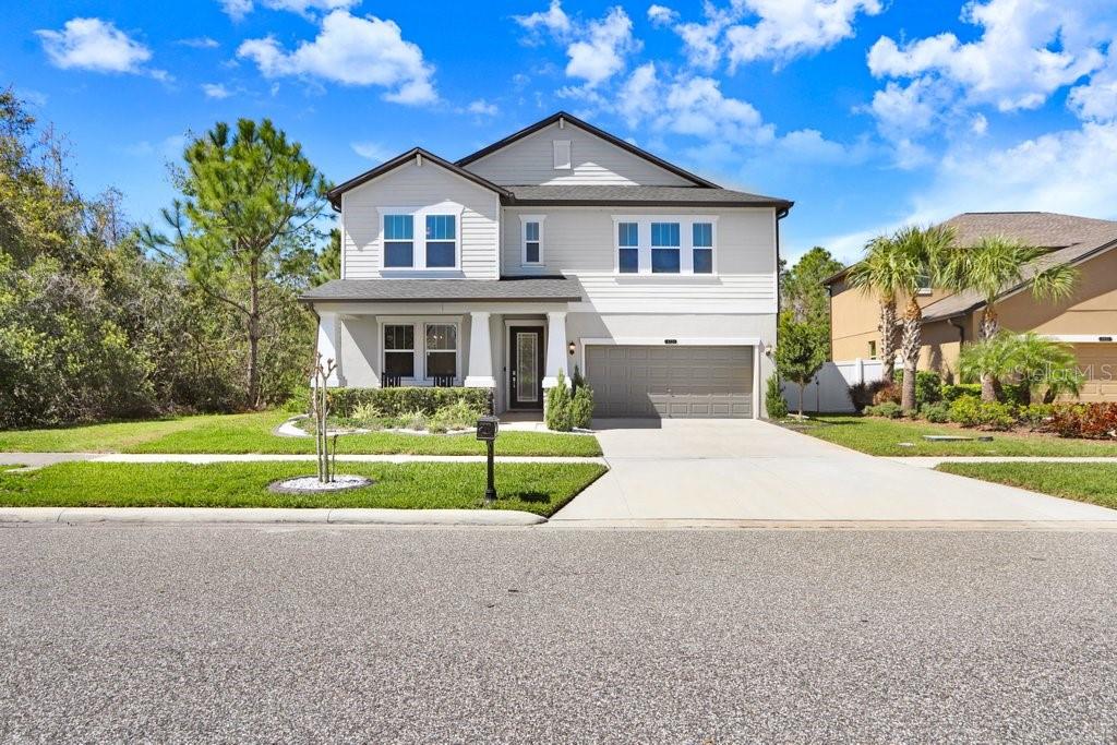 8721 Savory Walk, Land O Lakes, FL 34637