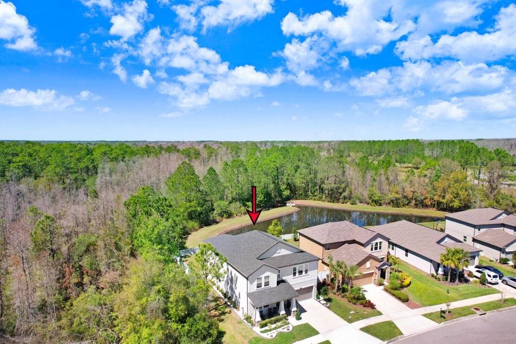 8721 Savory Walk, Land O Lakes, FL 34637