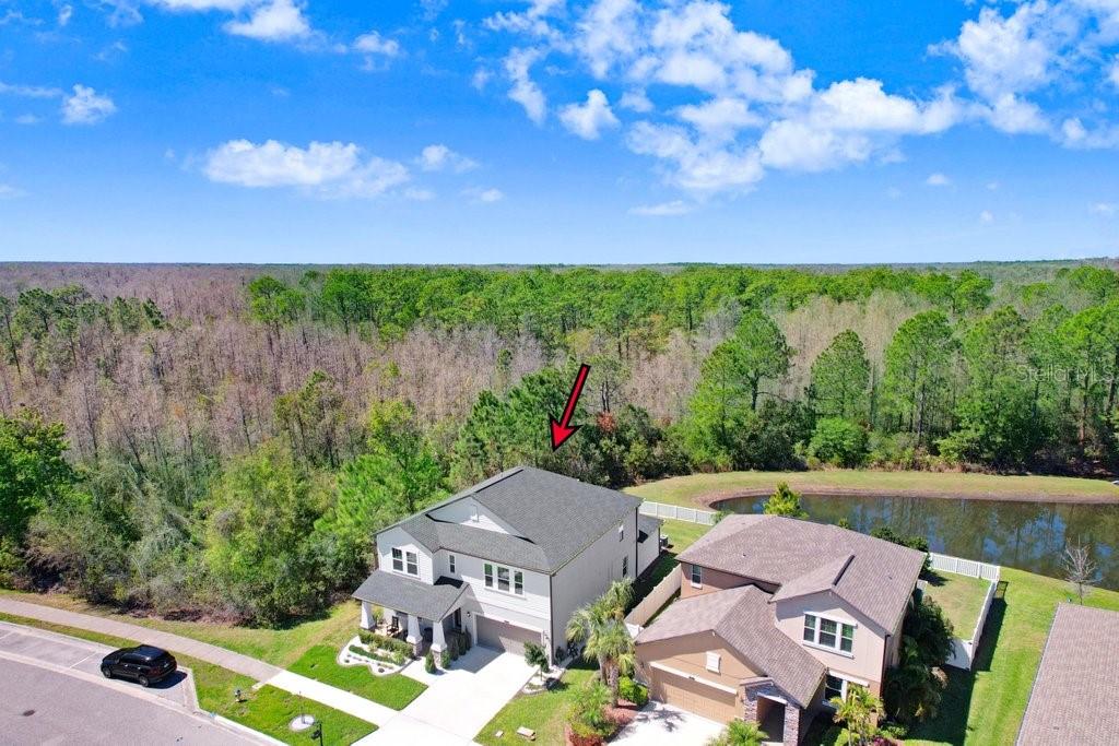 8721 Savory Walk, Land O Lakes, FL 34637