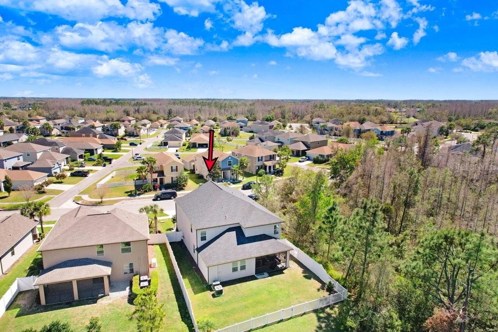 8721 Savory Walk, Land O Lakes, FL 34637