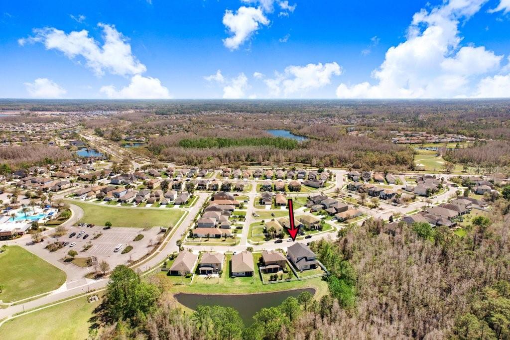 8721 Savory Walk, Land O Lakes, FL 34637