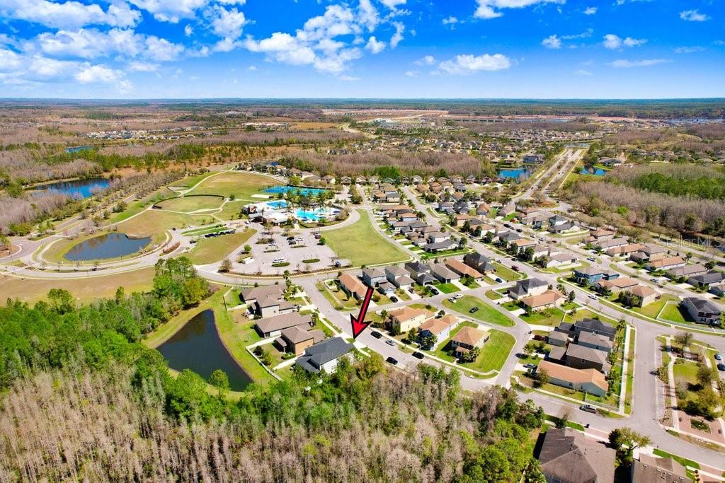 8721 Savory Walk, Land O Lakes, FL 34637