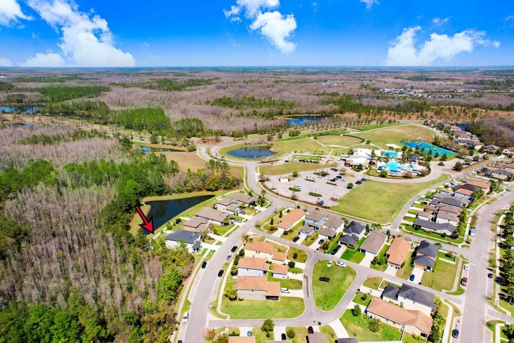 8721 Savory Walk, Land O Lakes, FL 34637