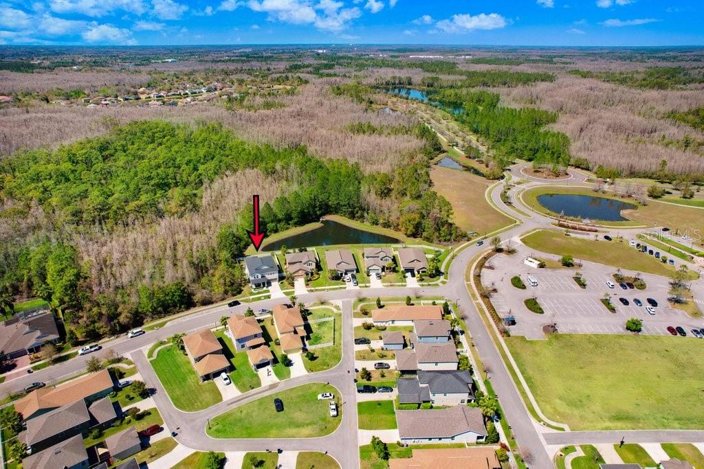 8721 Savory Walk, Land O Lakes, FL 34637