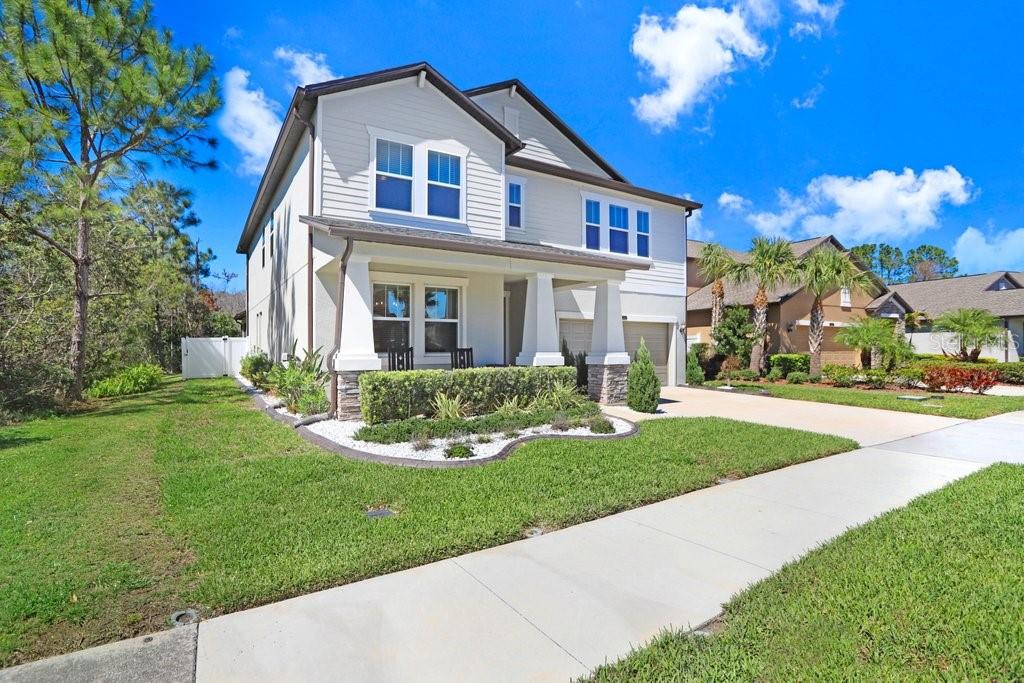8721 Savory Walk, Land O Lakes, FL 34637