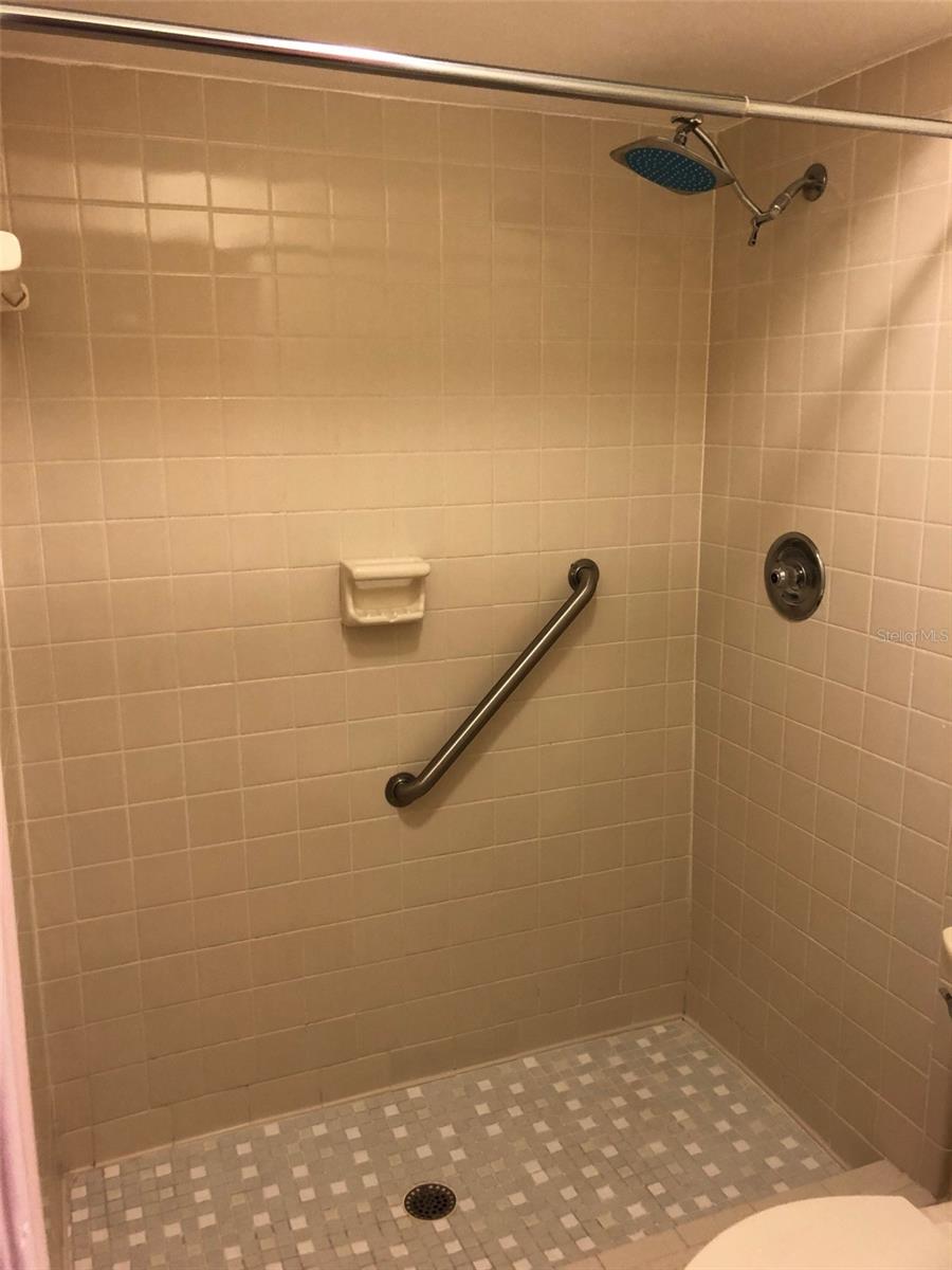 1693 Nash, Dunedin, FL 34698