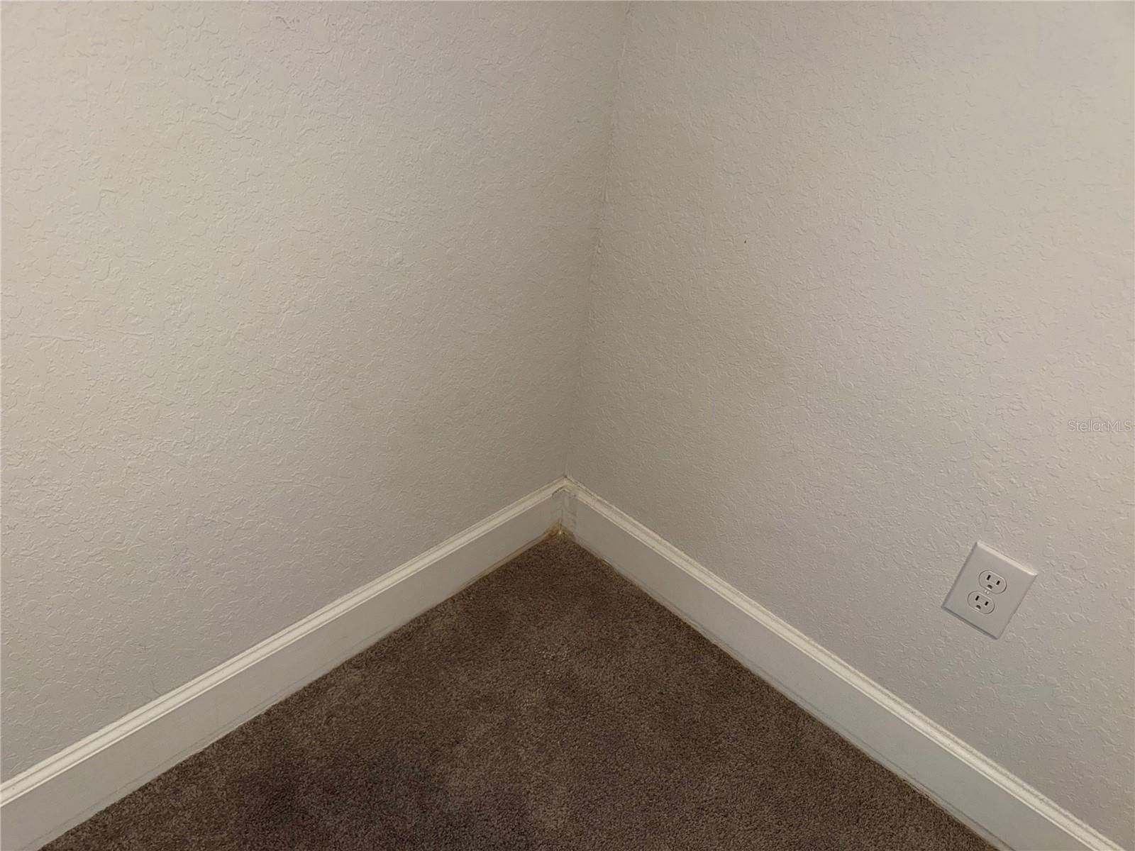 14921 Tropical Violet, Wimauma, FL 33598