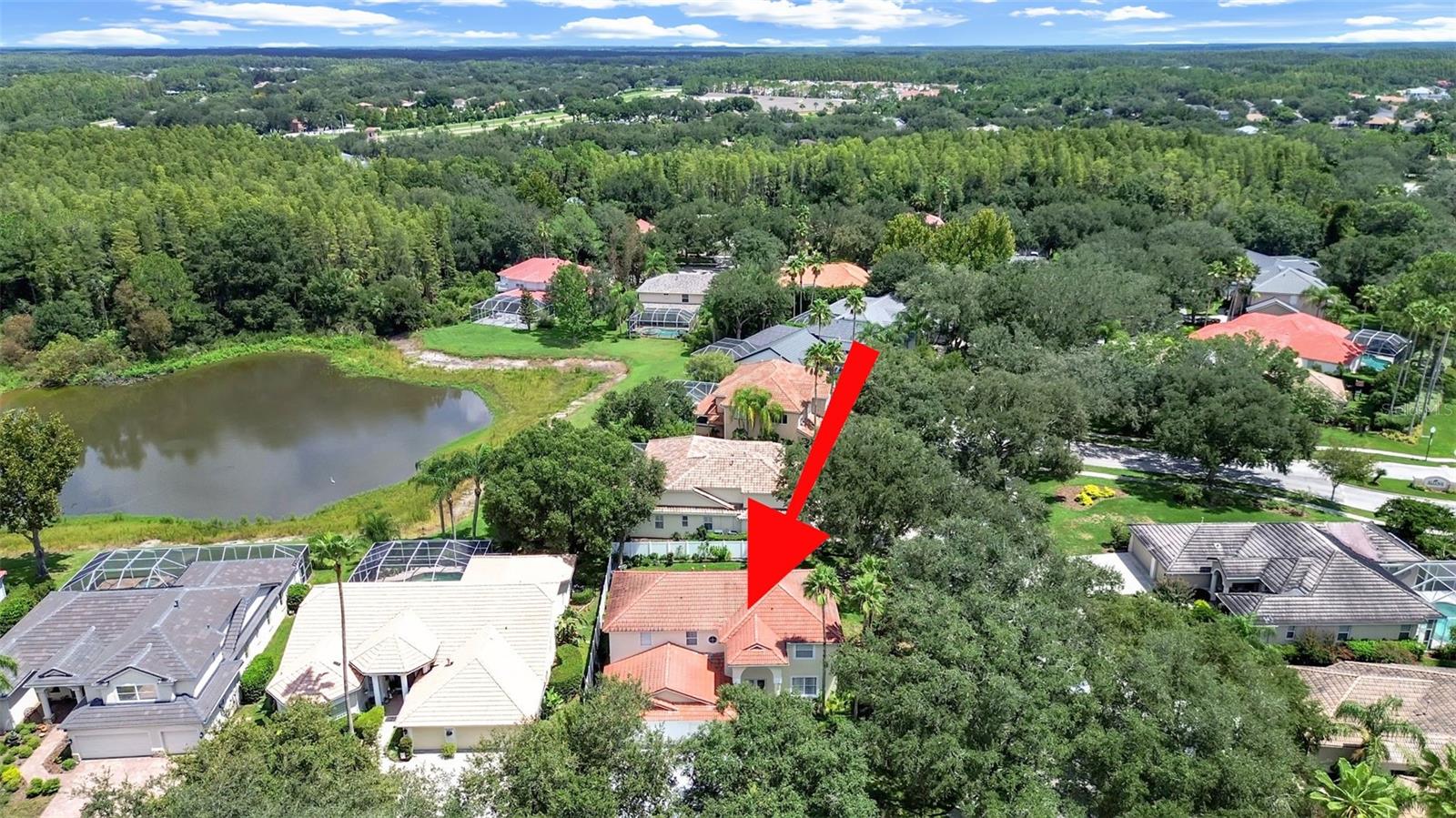 10212 Garden Alcove, Tampa, FL 33647