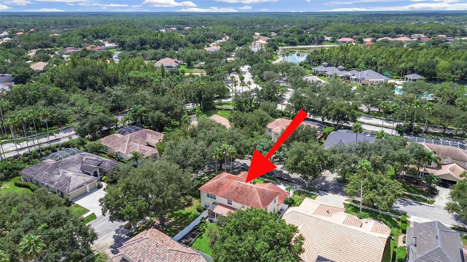 10212 Garden Alcove, Tampa, FL 33647