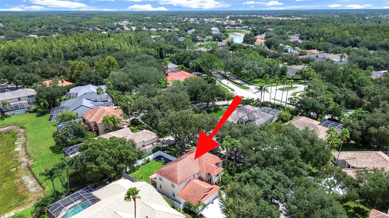 10212 Garden Alcove, Tampa, FL 33647
