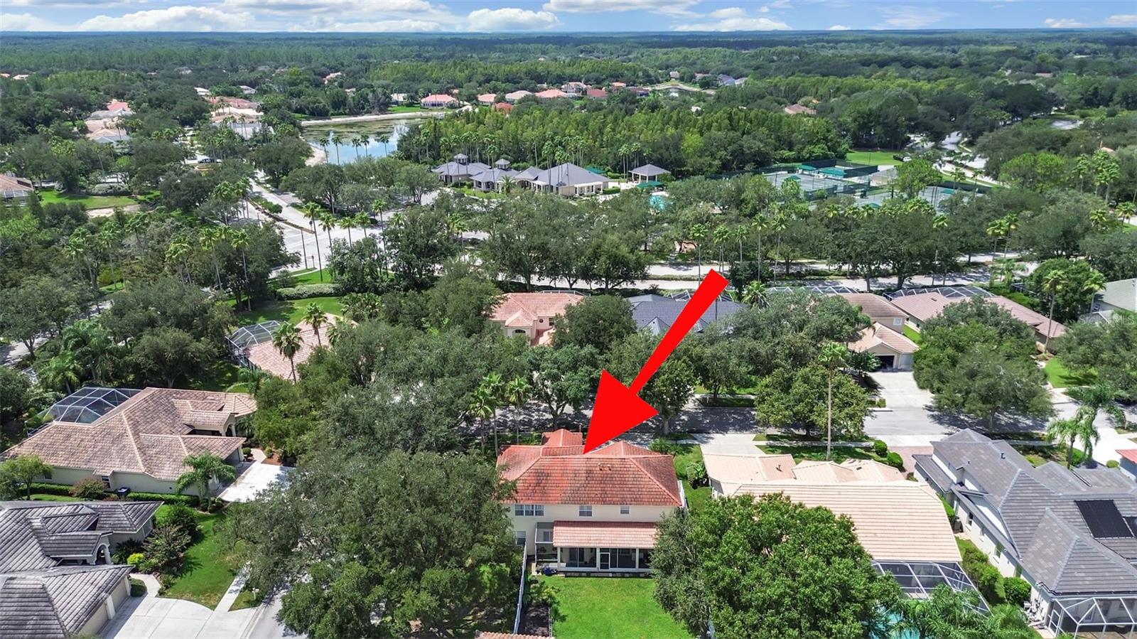 10212 Garden Alcove, Tampa, FL 33647