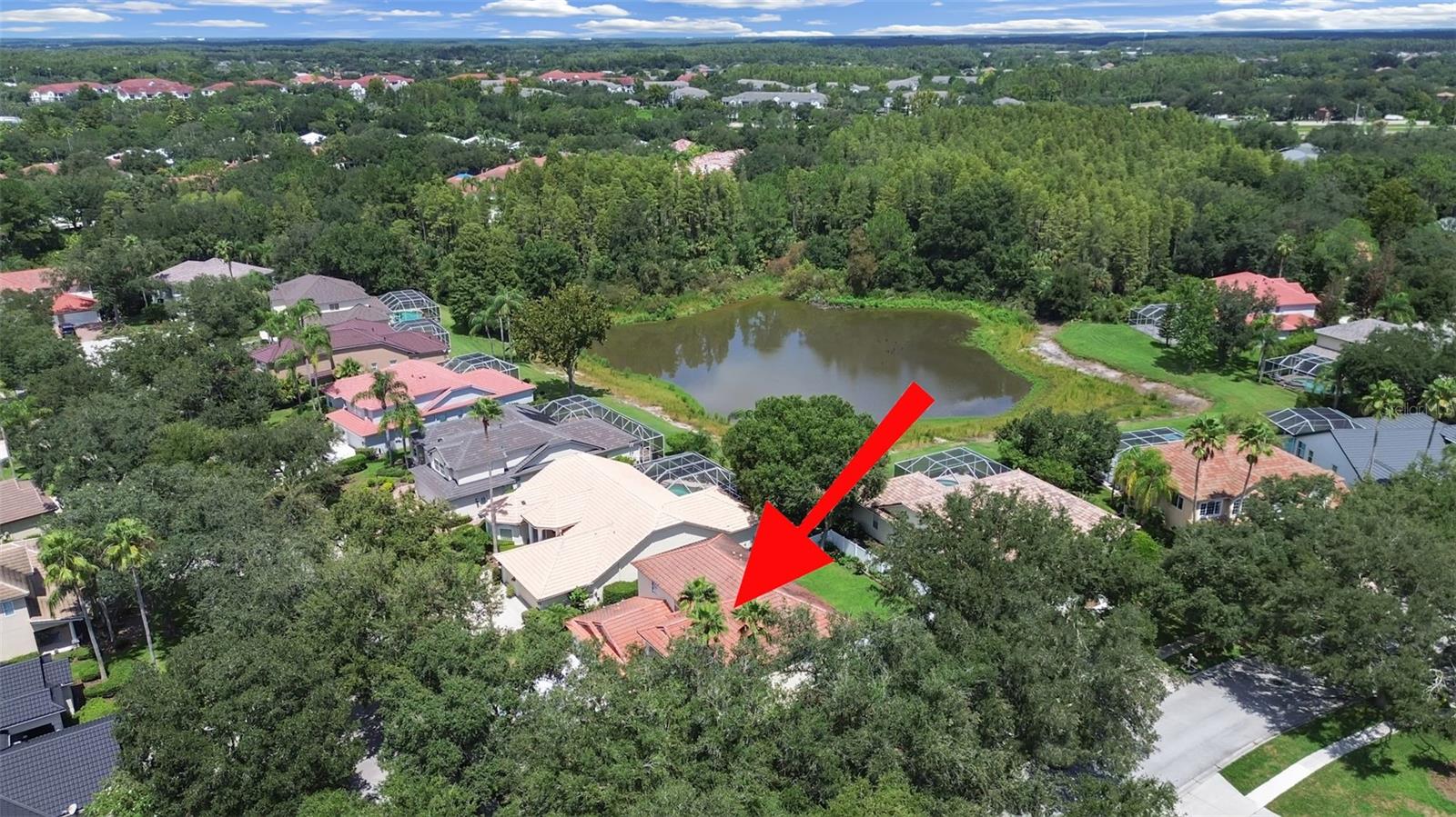 10212 Garden Alcove, Tampa, FL 33647