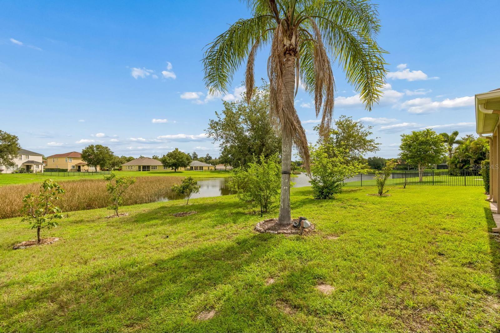 5406 Sandy Shell, Apollo Beach, FL 33572