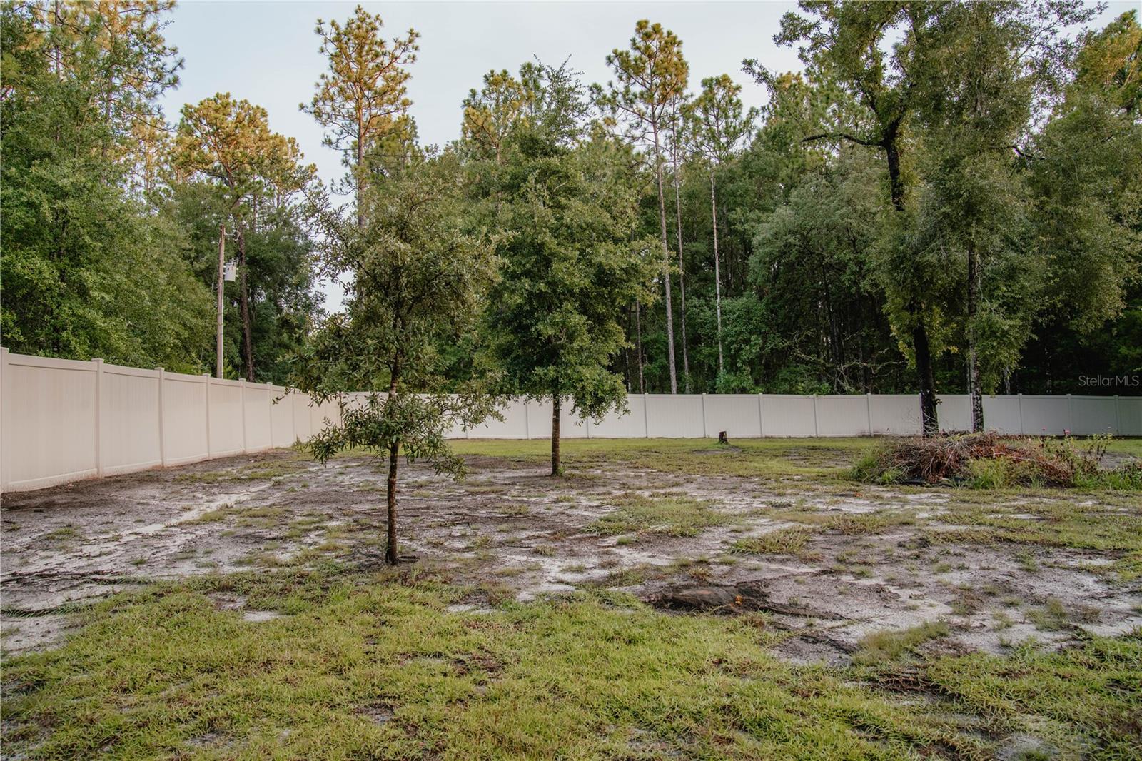 12009 Daffodil, Floral City, FL 34436