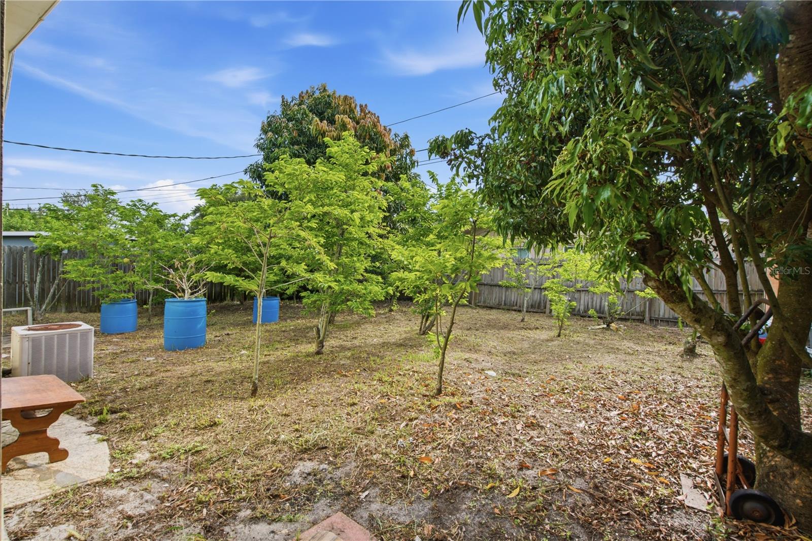 1615 Palm, Largo, FL 33771