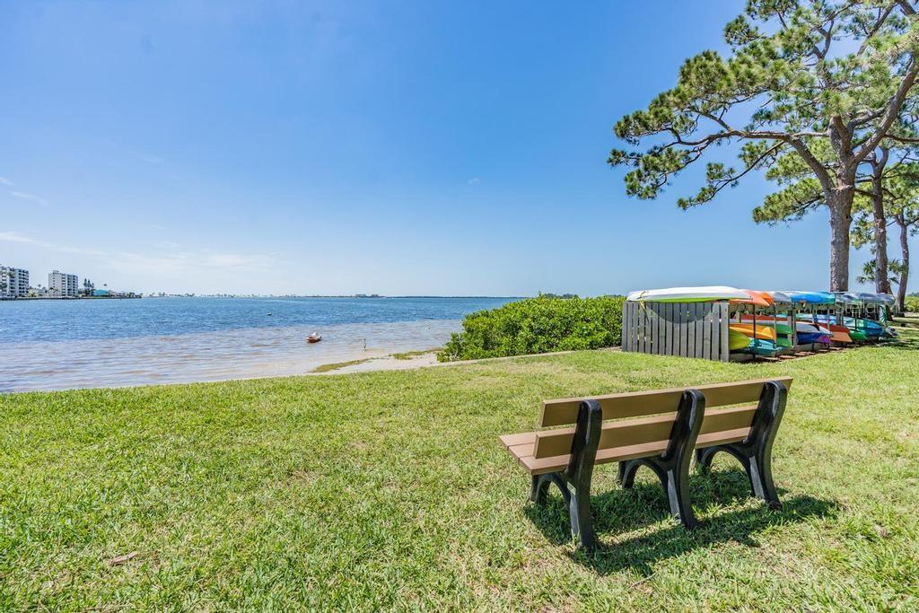 2700 Bayshore Unit 11202, Dunedin, FL 34698