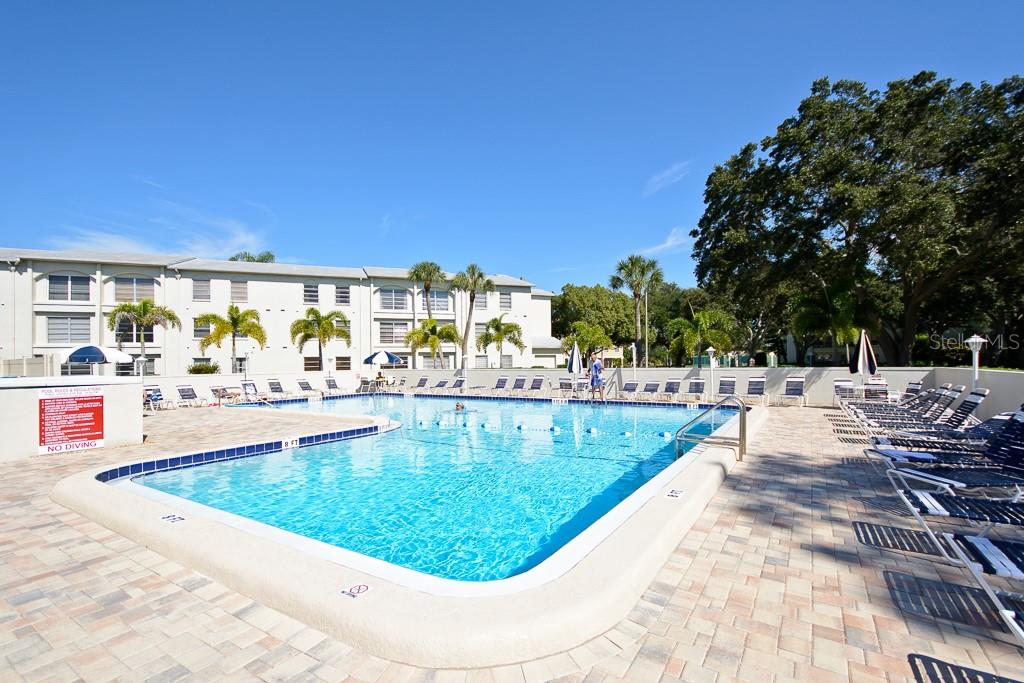 2700 Bayshore Unit 11202, Dunedin, FL 34698