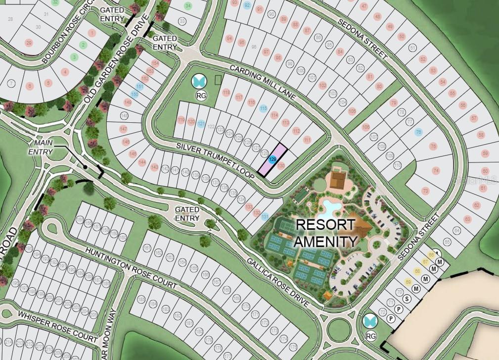 11202 Silver Trumpet, Winter Garden, FL 34787