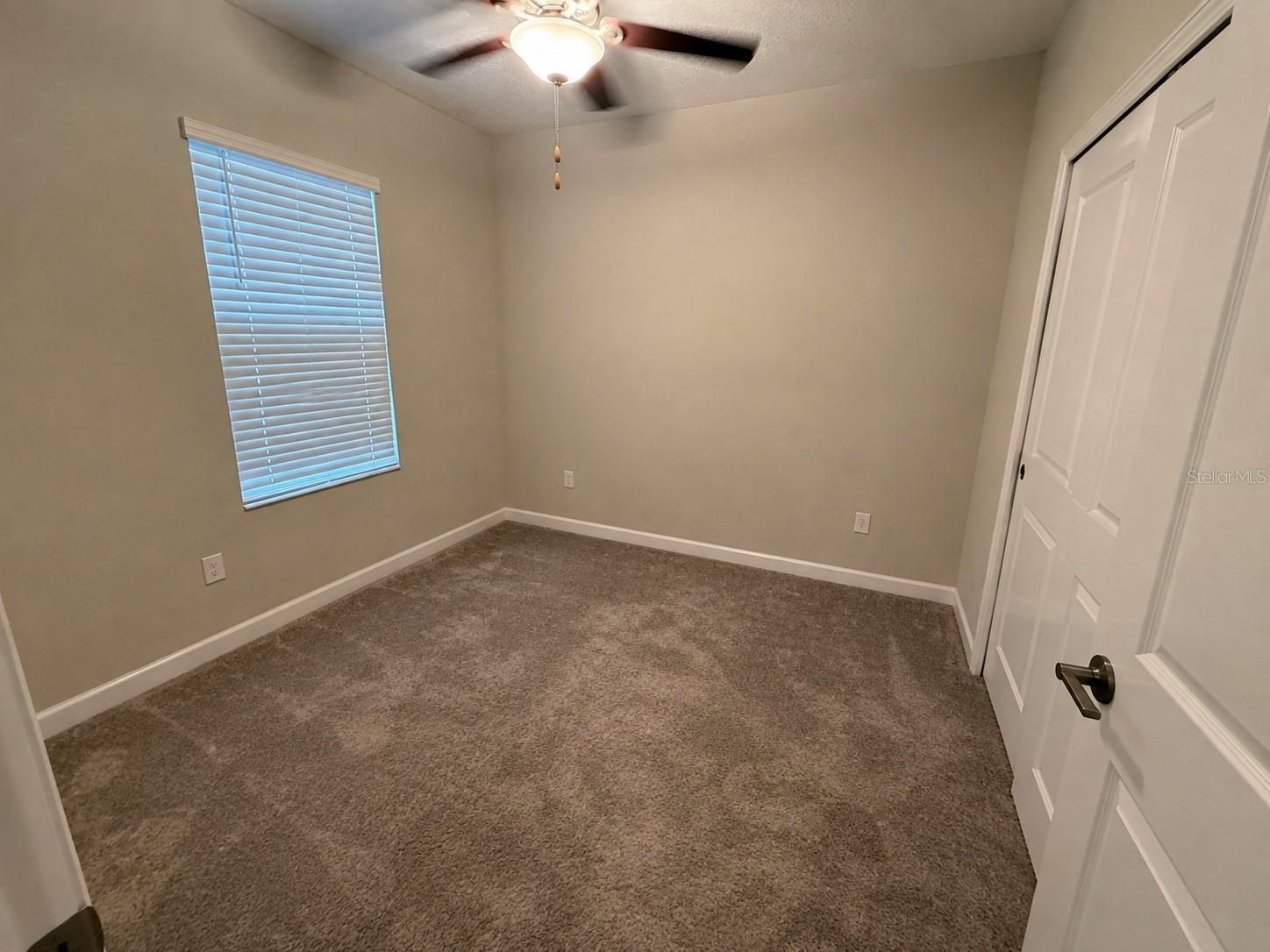 6824 Citrus Creek, Tampa, FL 33625