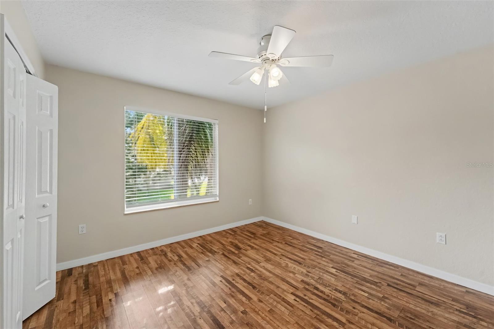 19431 Sandy Springs, Lutz, FL 33558