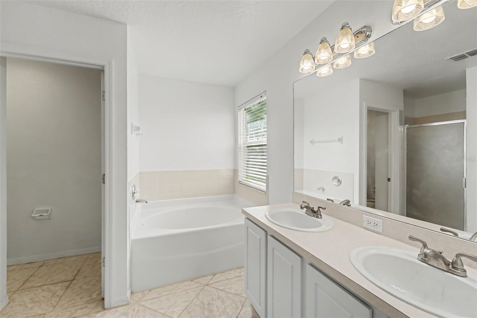 19431 Sandy Springs, Lutz, FL 33558