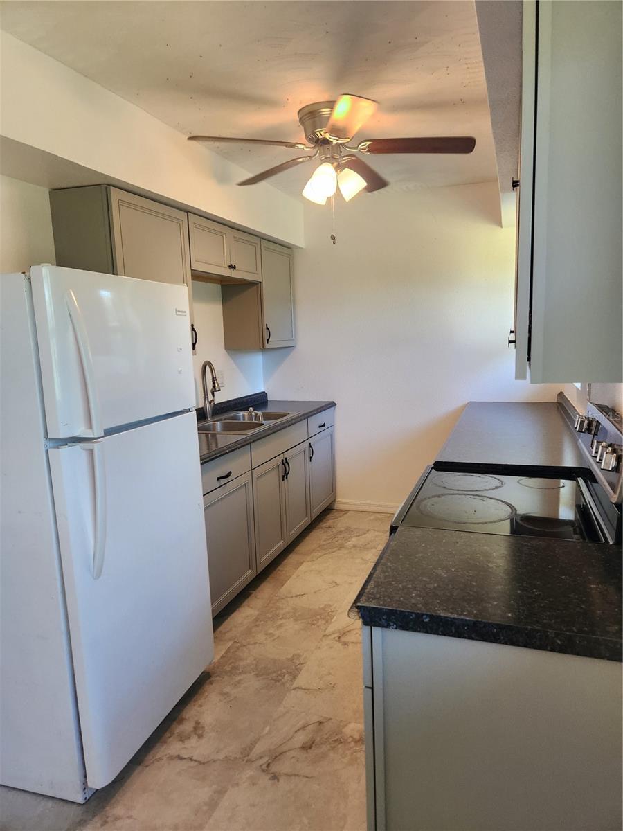 232 Washingtonia, Lake Placid, FL 33852