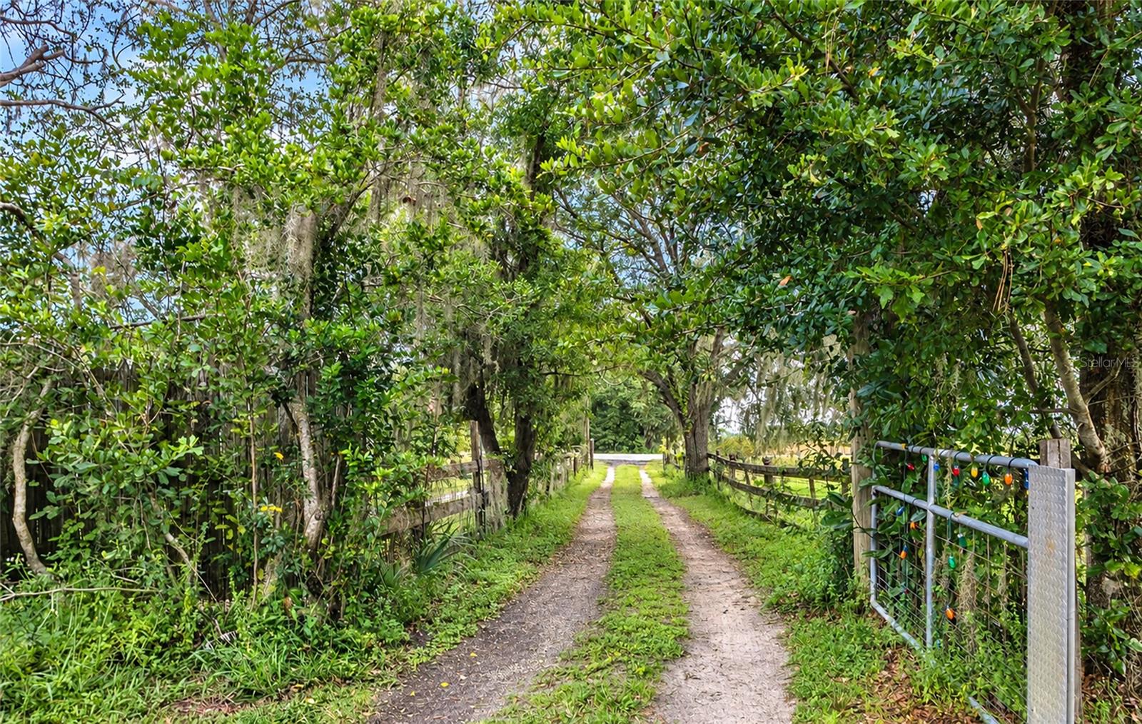 3005 Verna Bethany, Myakka City, FL 34251