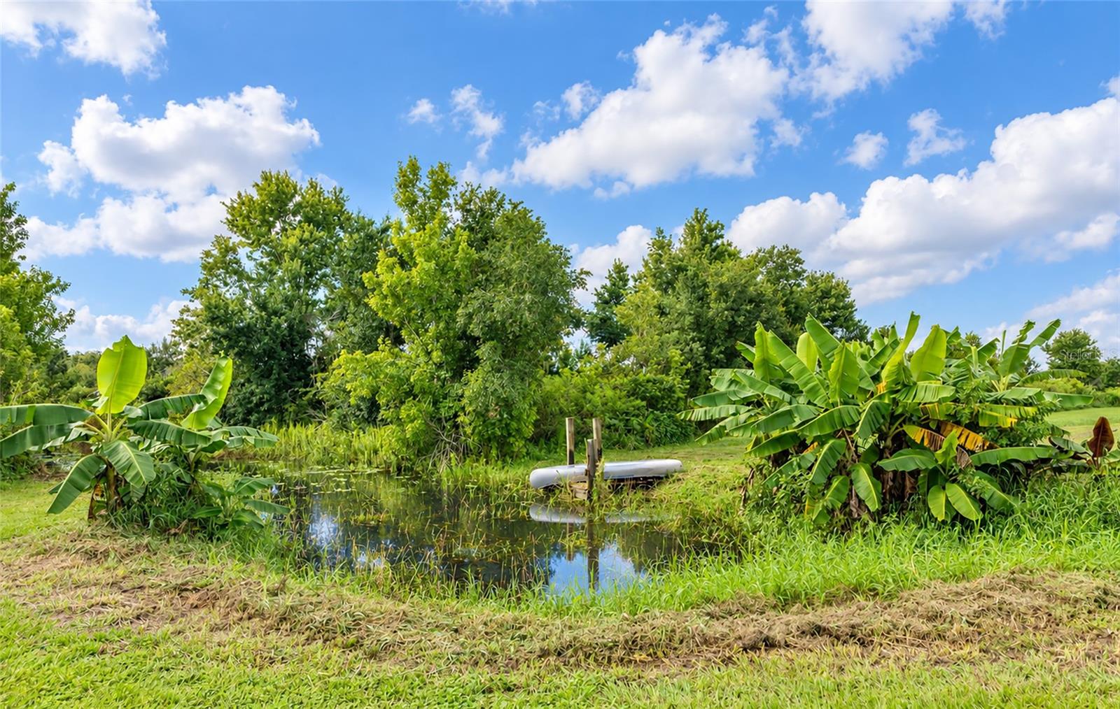 3005 Verna Bethany, Myakka City, FL 34251