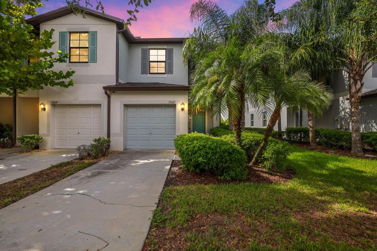 7667 Ginger Lily, Tampa, FL 33619