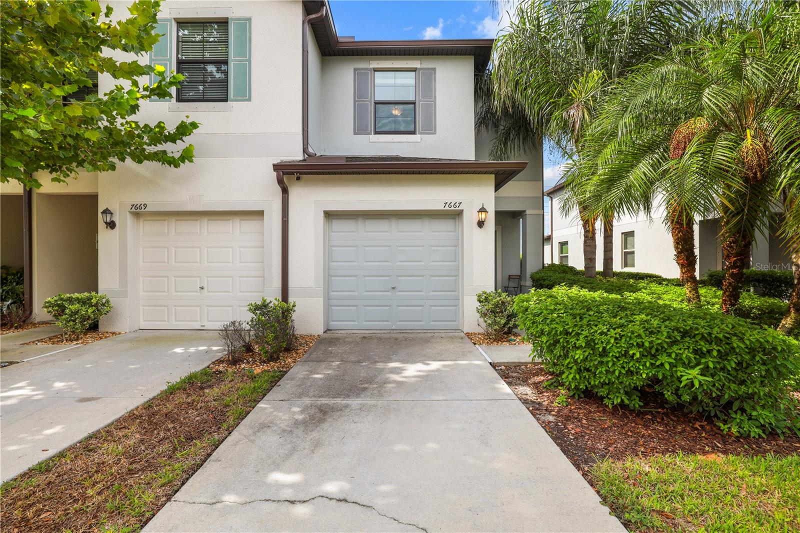 7667 Ginger Lily, Tampa, FL 33619